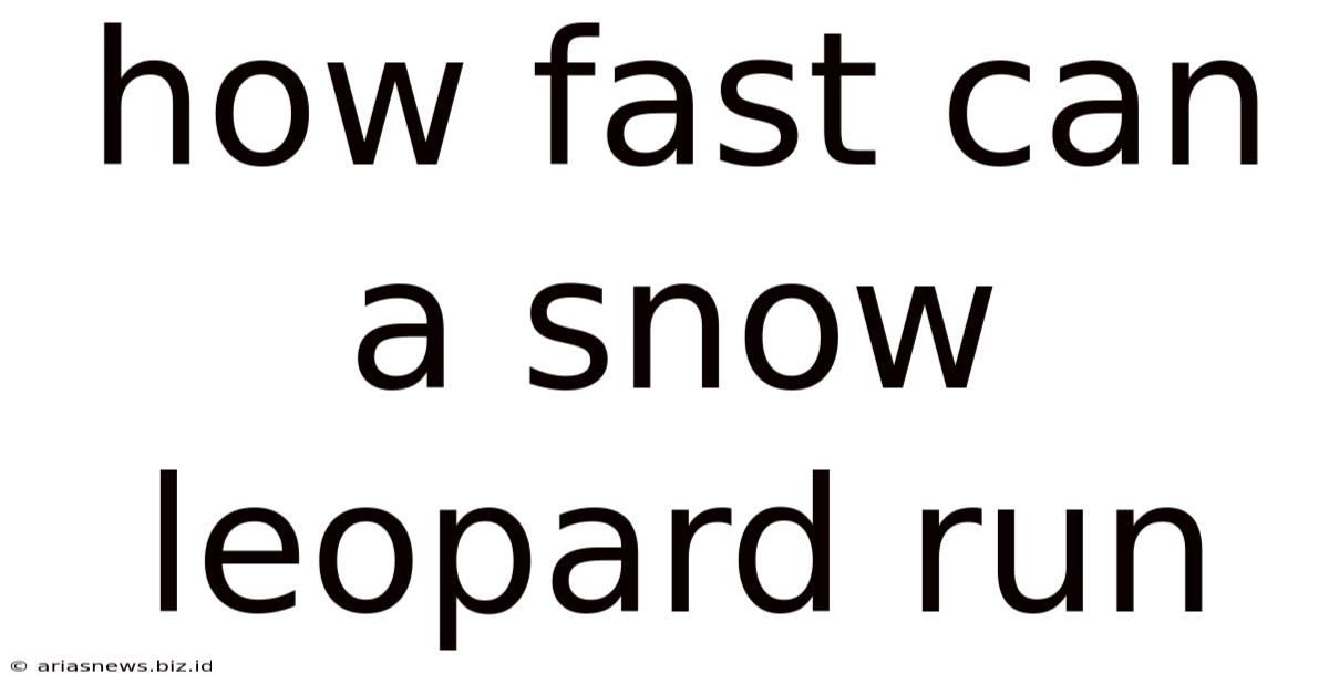 How Fast Can A Snow Leopard Run