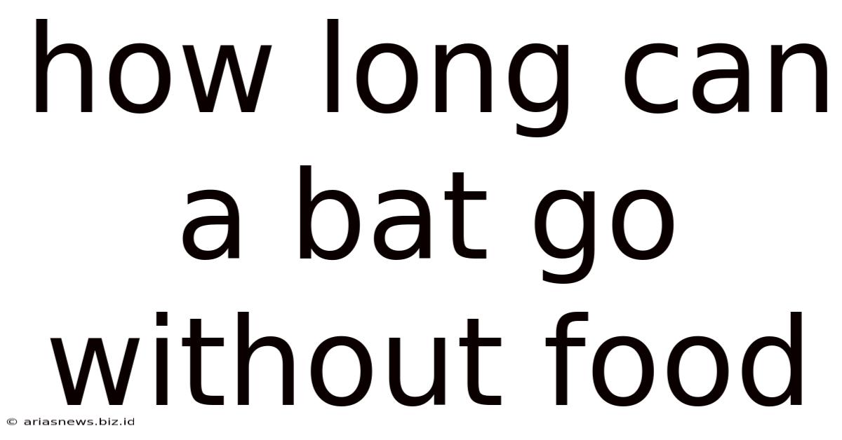 How Long Can A Bat Go Without Food