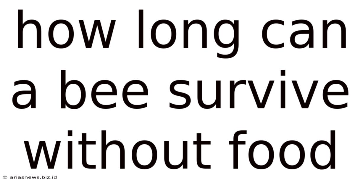 How Long Can A Bee Survive Without Food