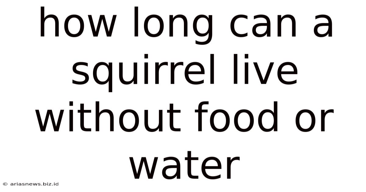 How Long Can A Squirrel Live Without Food Or Water