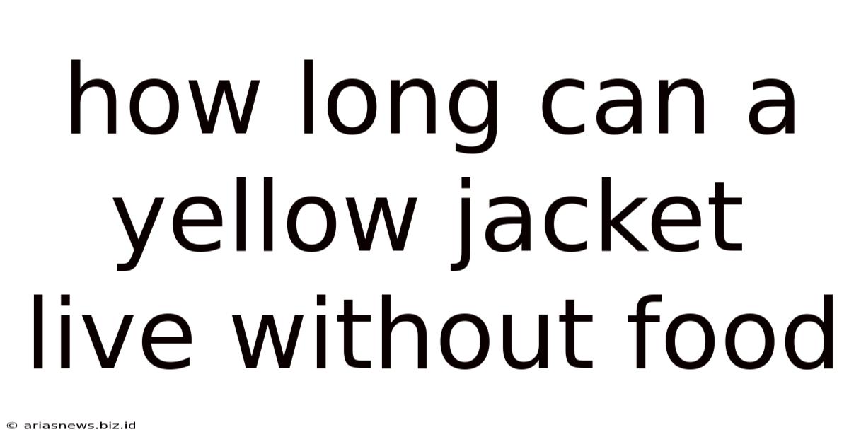 How Long Can A Yellow Jacket Live Without Food