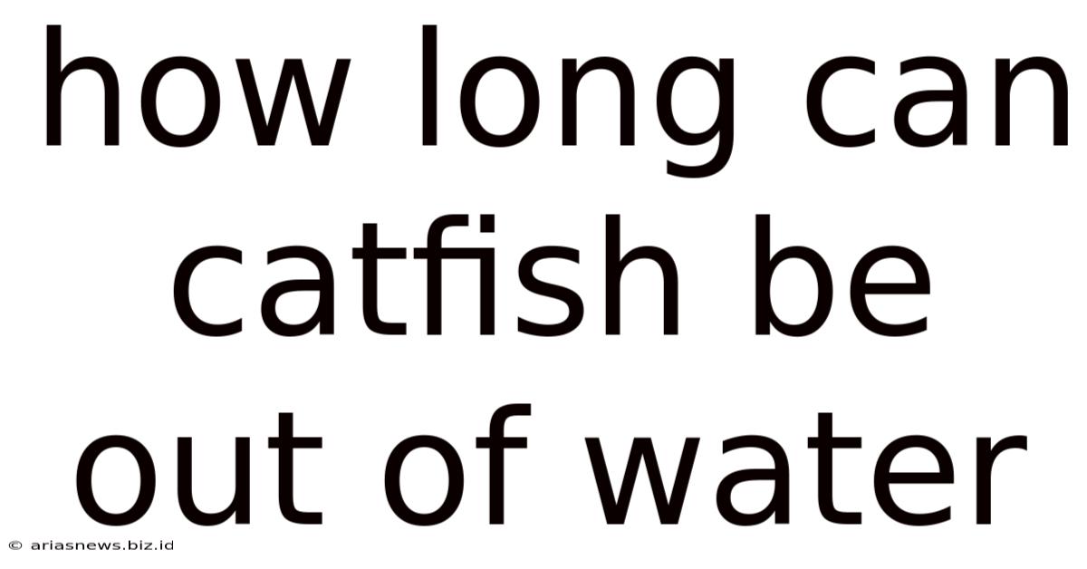 How Long Can Catfish Be Out Of Water