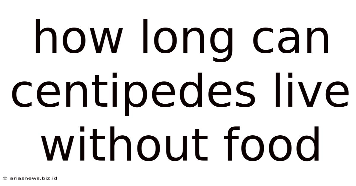 How Long Can Centipedes Live Without Food