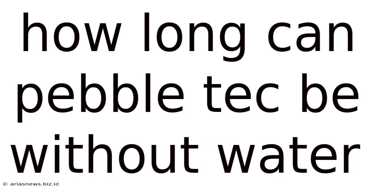 How Long Can Pebble Tec Be Without Water