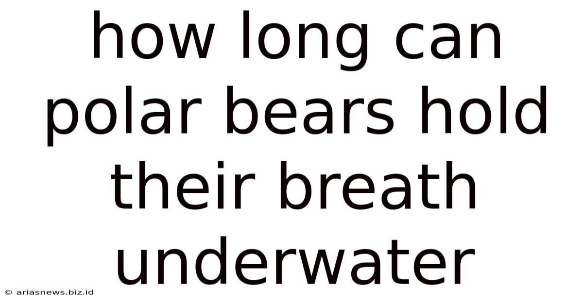 How Long Can Polar Bears Hold Their Breath Underwater