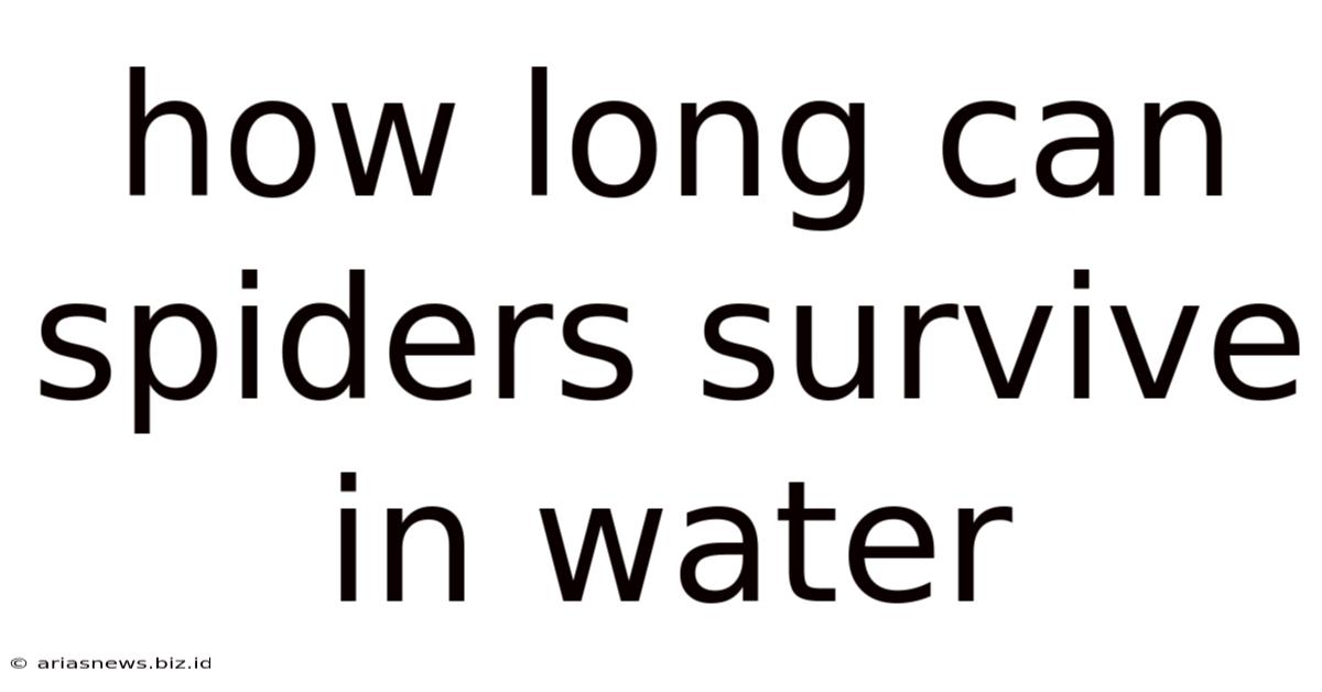 How Long Can Spiders Survive In Water