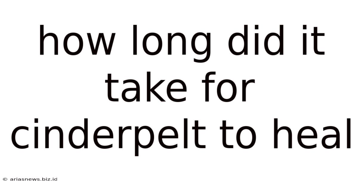 How Long Did It Take For Cinderpelt To Heal