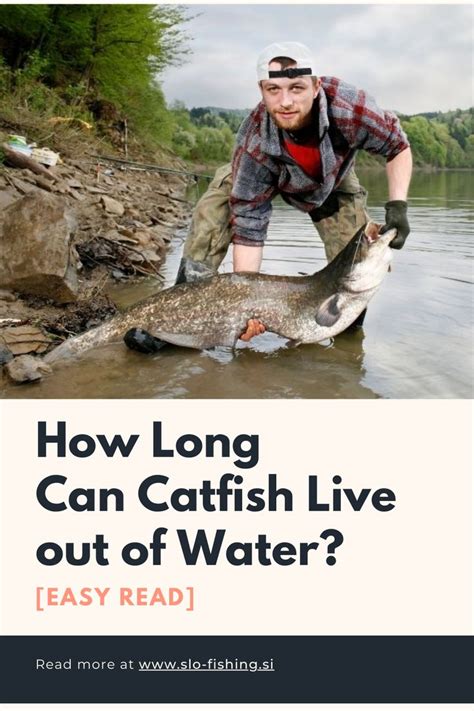 How Long Do Catfish Live Out Of Water