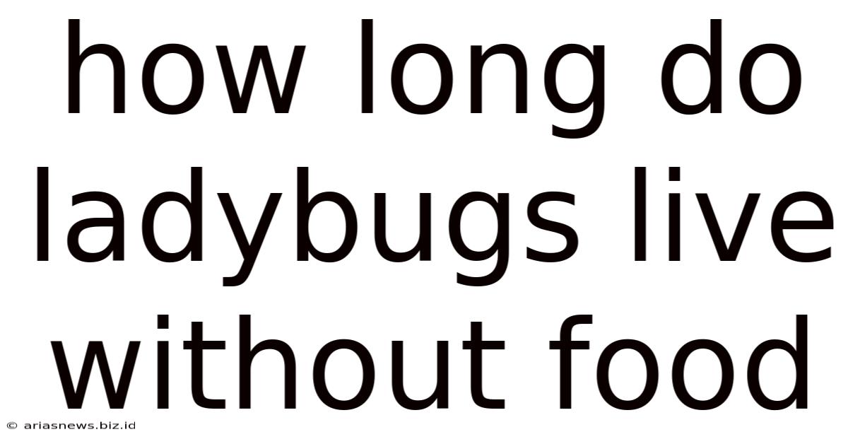 How Long Do Ladybugs Live Without Food