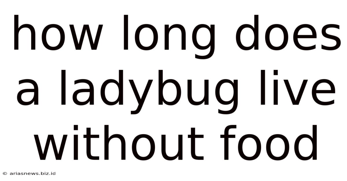 How Long Does A Ladybug Live Without Food