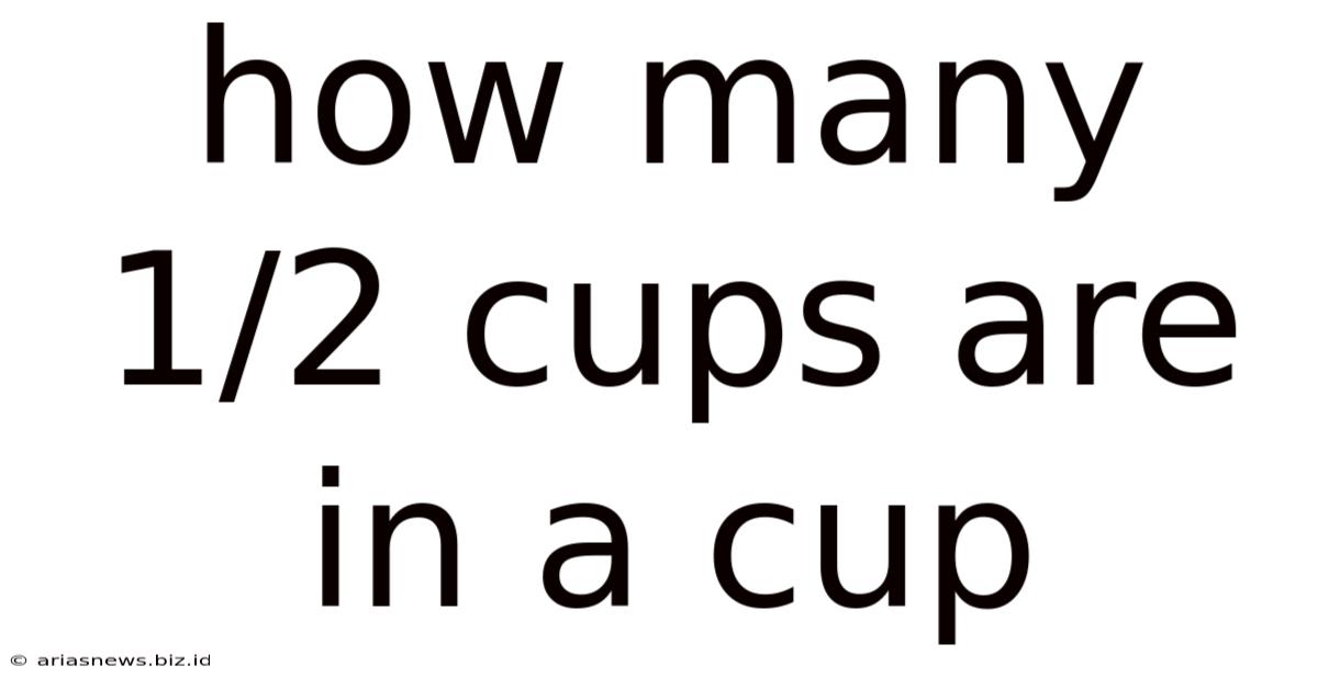 How Many 1/2 Cups Are In A Cup
