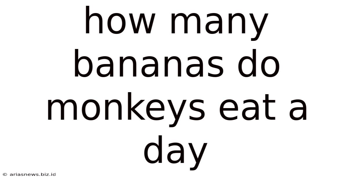 How Many Bananas Do Monkeys Eat A Day
