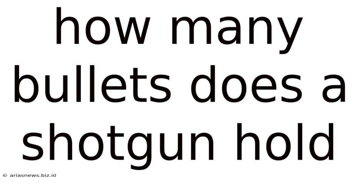 How Many Bullets Does A Shotgun Hold