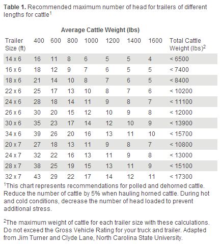 How Many Cows Fit In A 53-foot Trailer