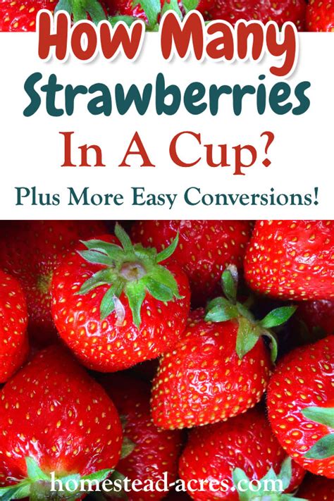 How Many Cups In A Pound Of Strawberries