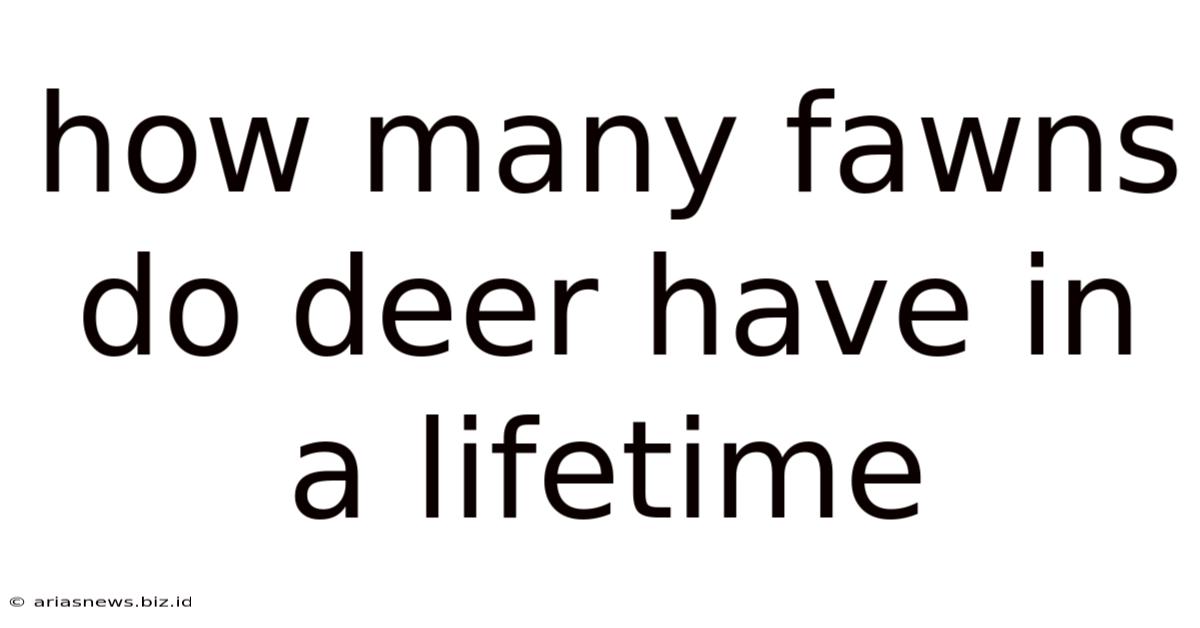 How Many Fawns Do Deer Have In A Lifetime