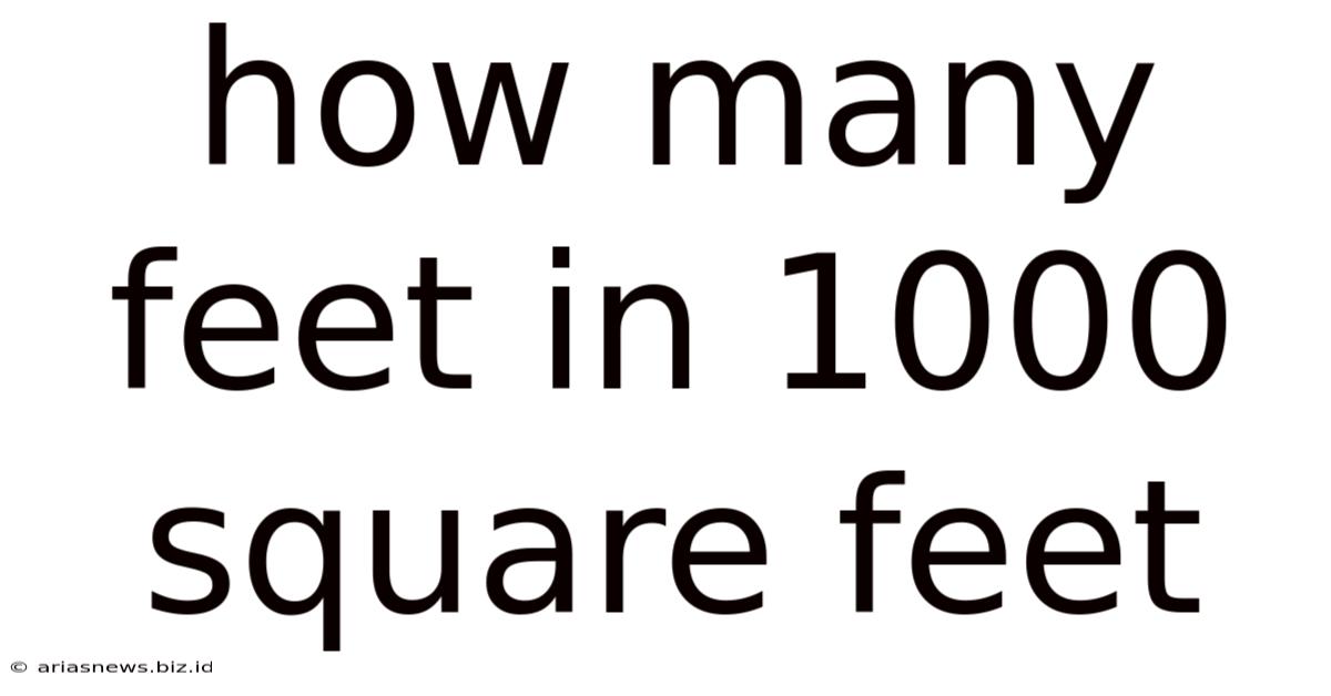 How Many Feet In 1000 Square Feet