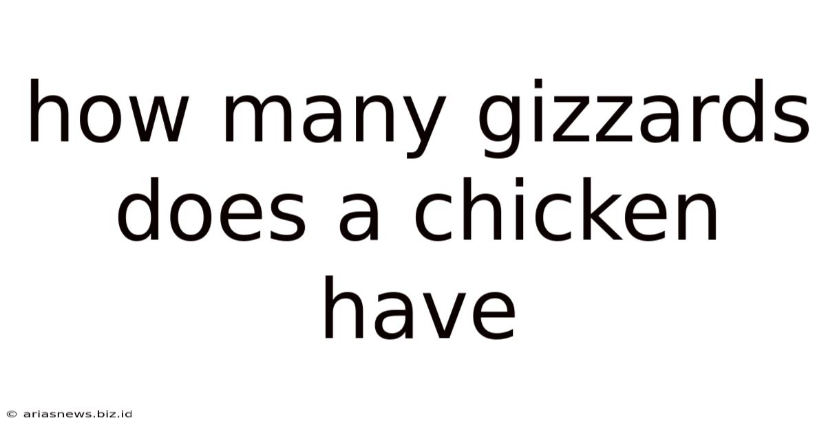 How Many Gizzards Does A Chicken Have
