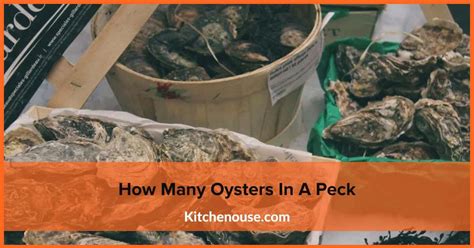 How Many In A Peck Of Oysters