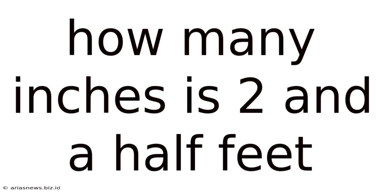 How Many Inches Is 2 And A Half Feet