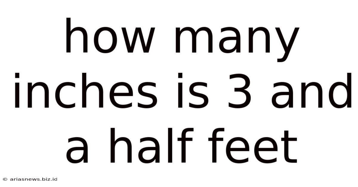 How Many Inches Is 3 And A Half Feet
