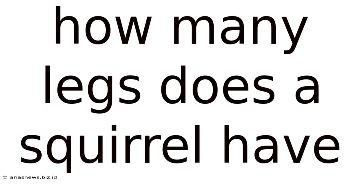 How Many Legs Does A Squirrel Have