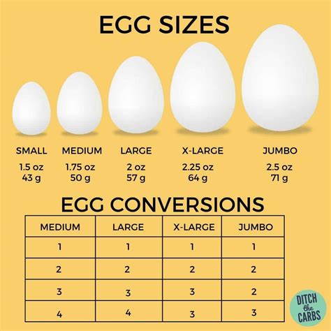 How Many Ounces Is In An Egg