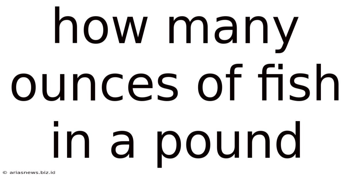 How Many Ounces Of Fish In A Pound
