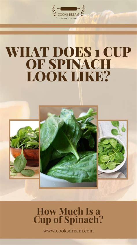 How Many Ounces Of Spinach In A Cup