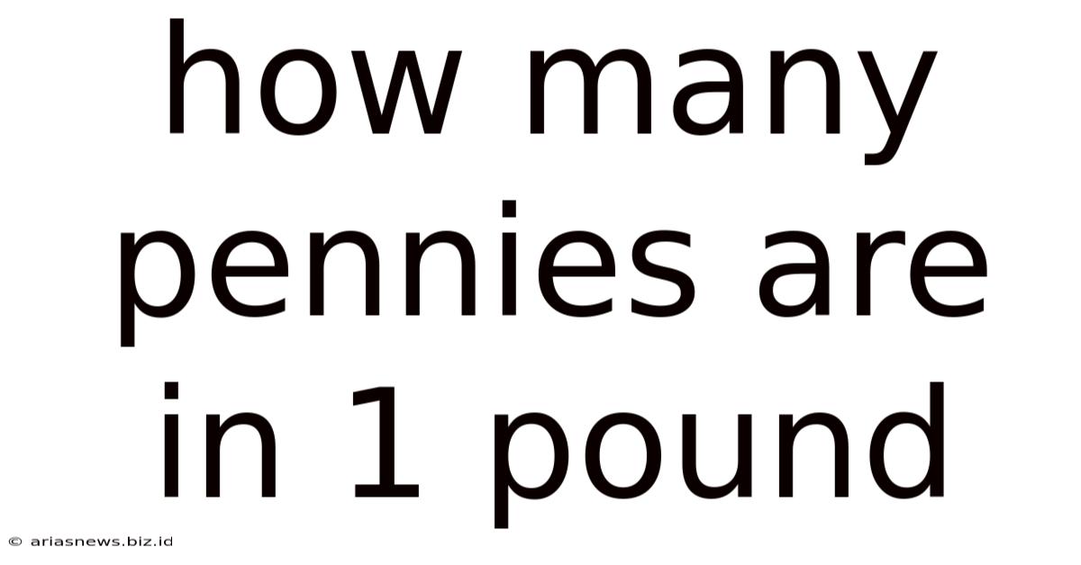 How Many Pennies Are In 1 Pound