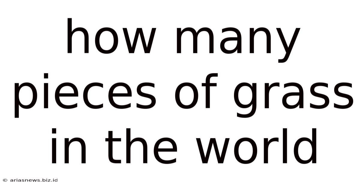 How Many Pieces Of Grass In The World