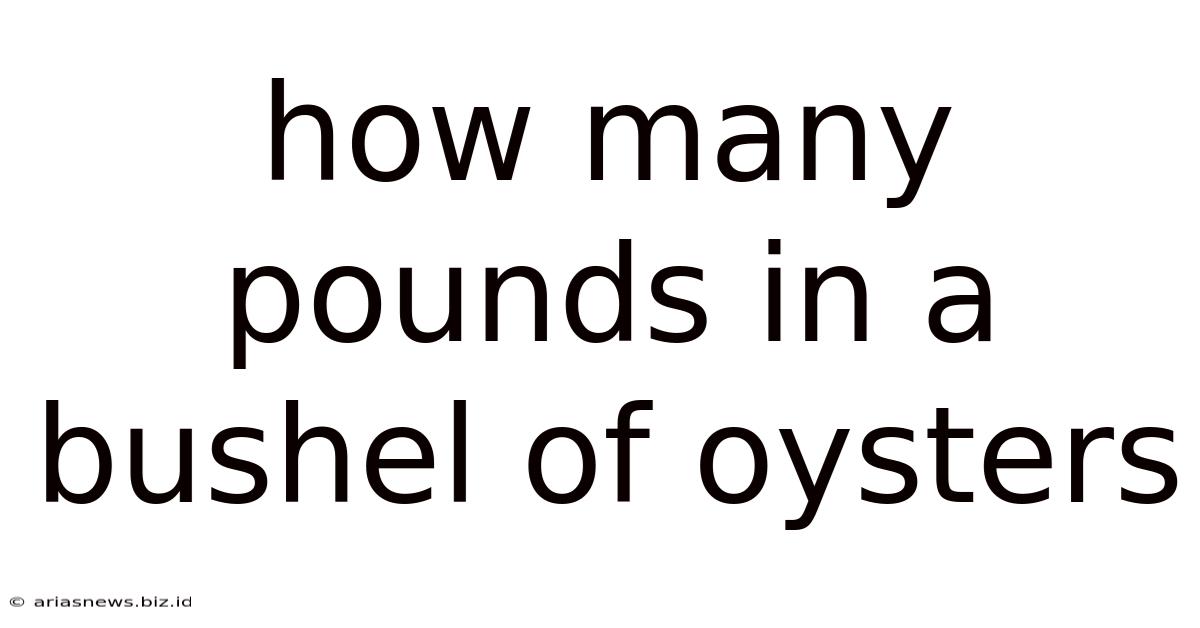 How Many Pounds In A Bushel Of Oysters