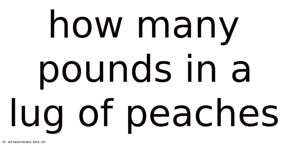 How Many Pounds In A Lug Of Peaches