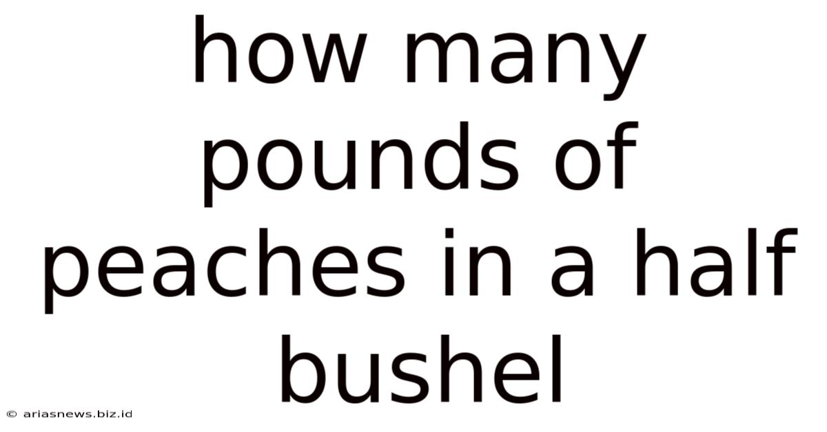 How Many Pounds Of Peaches In A Half Bushel