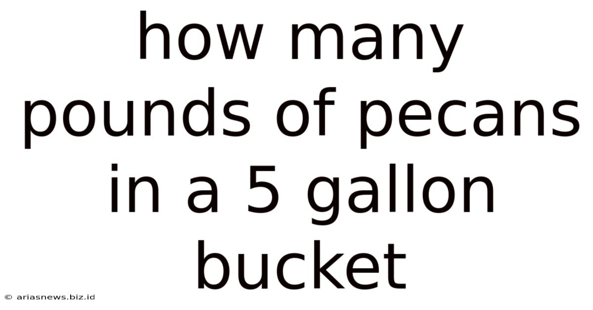 How Many Pounds Of Pecans In A 5 Gallon Bucket