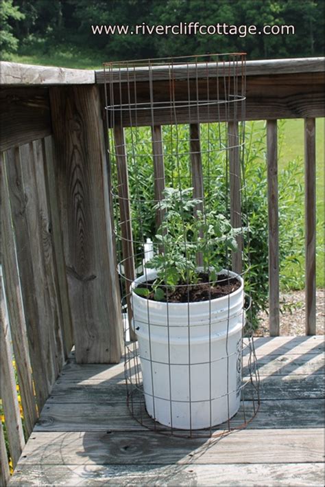 How Many Pounds Of Tomatoes In A 5 Gallon Bucket