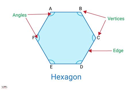 How Many Side Does A Hexagon Have