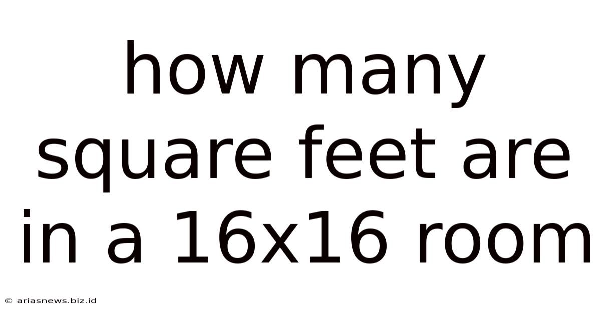 How Many Square Feet Are In A 16x16 Room