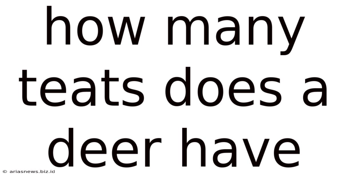 How Many Teats Does A Deer Have