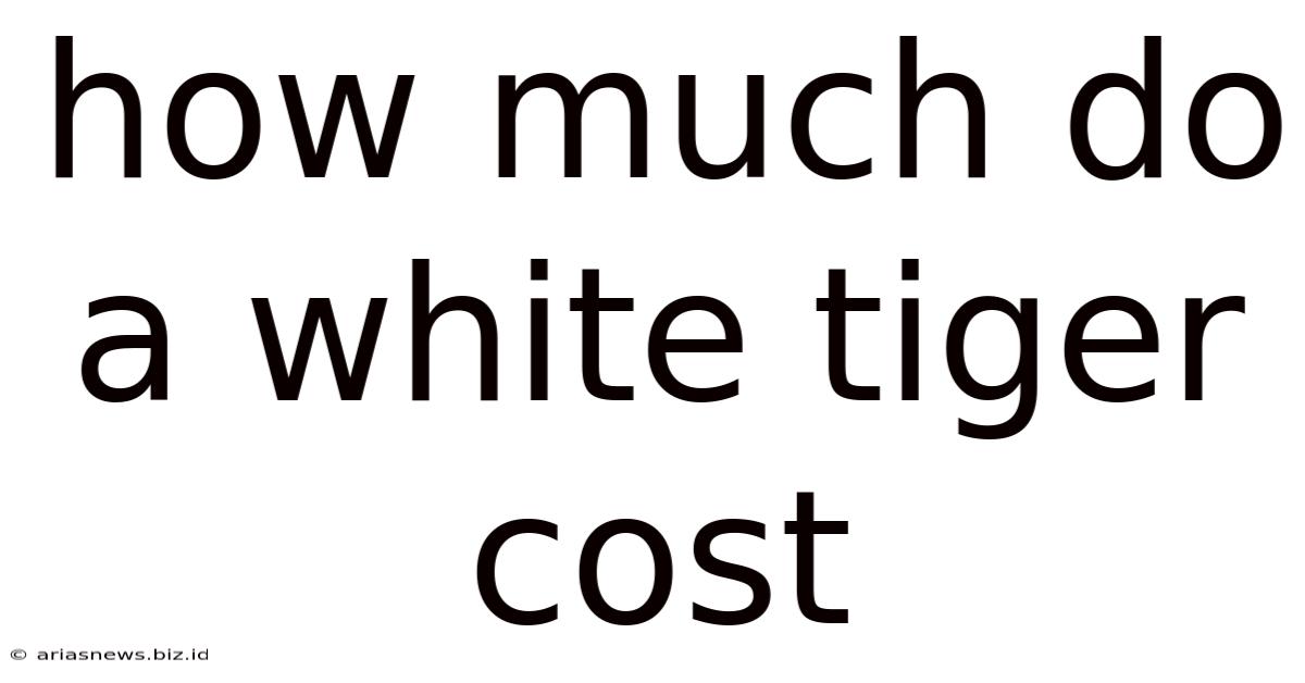 How Much Do A White Tiger Cost