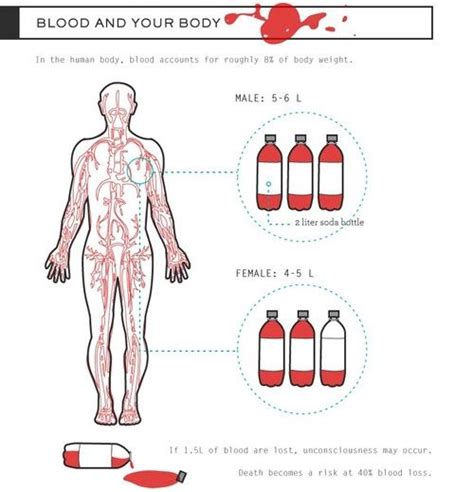 How Much Does A Gallon Of Blood Weigh