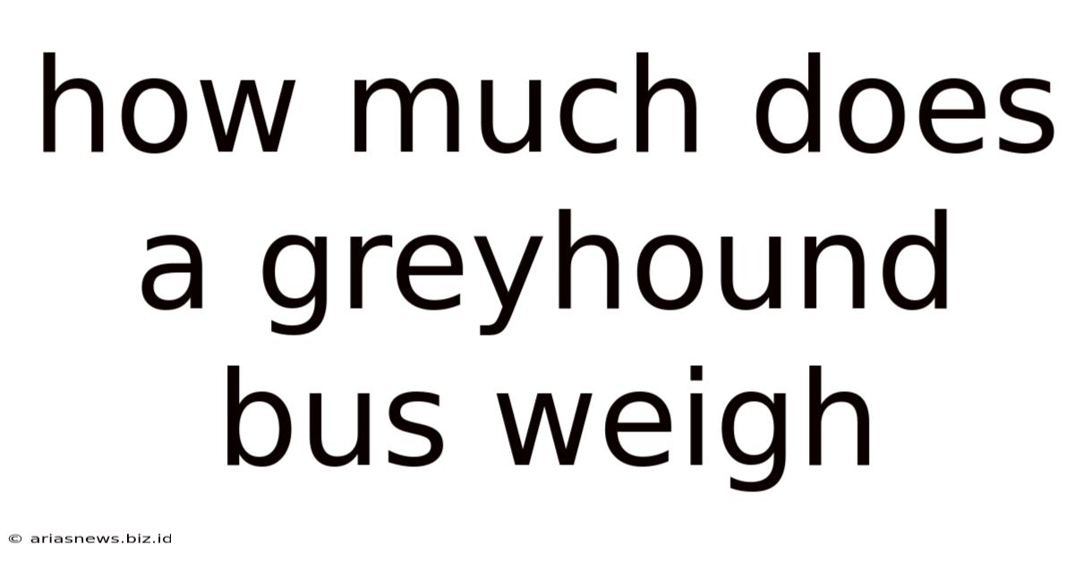 How Much Does A Greyhound Bus Weigh