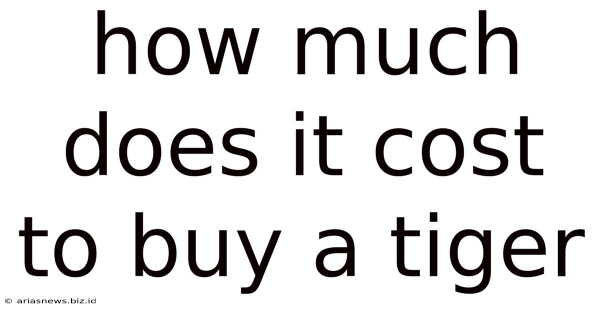 How Much Does It Cost To Buy A Tiger