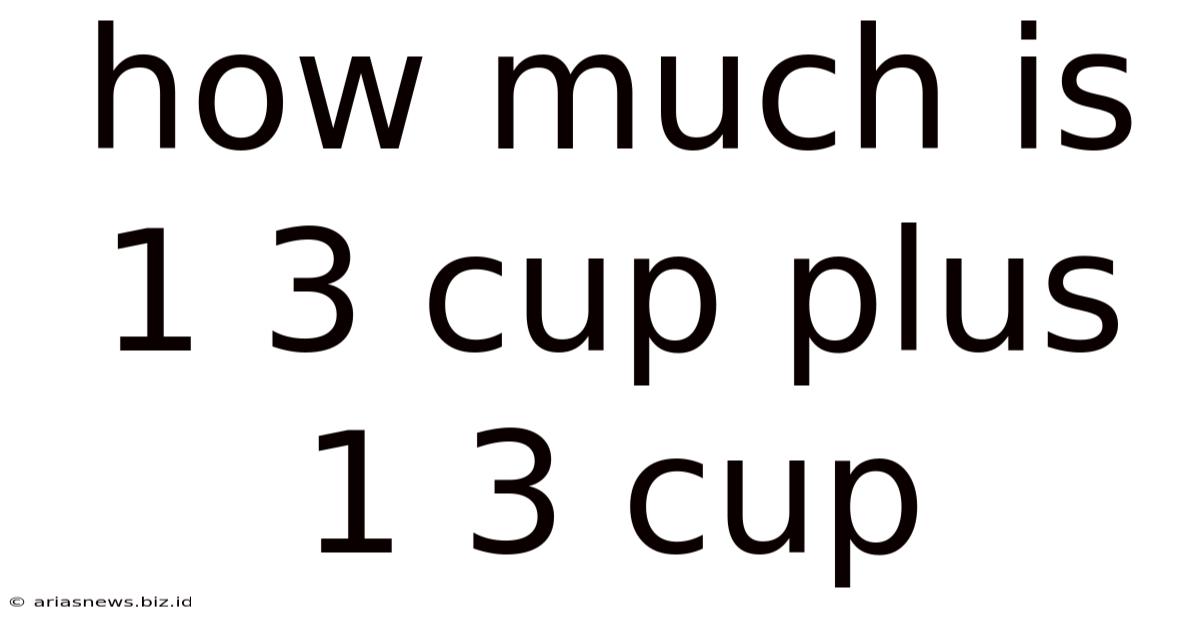 How Much Is 1 3 Cup Plus 1 3 Cup
