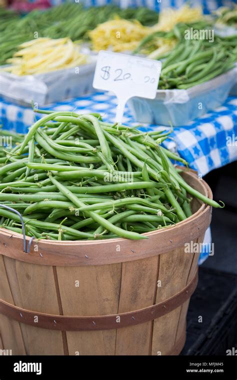 How Much Is A Bushel Of Green Beans