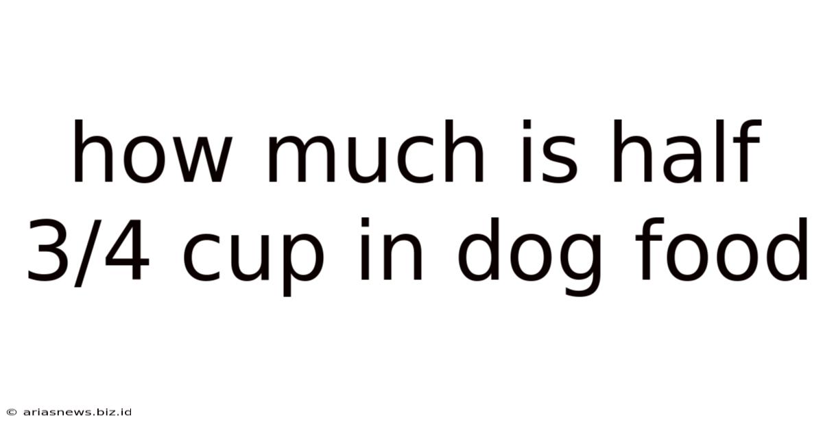 How Much Is Half 3/4 Cup In Dog Food