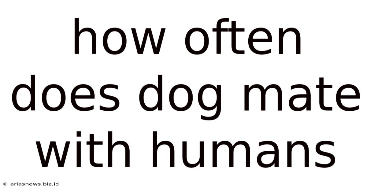 How Often Does Dog Mate With Humans