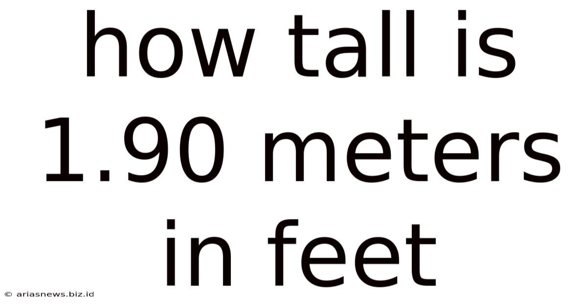 How Tall Is 1.90 Meters In Feet