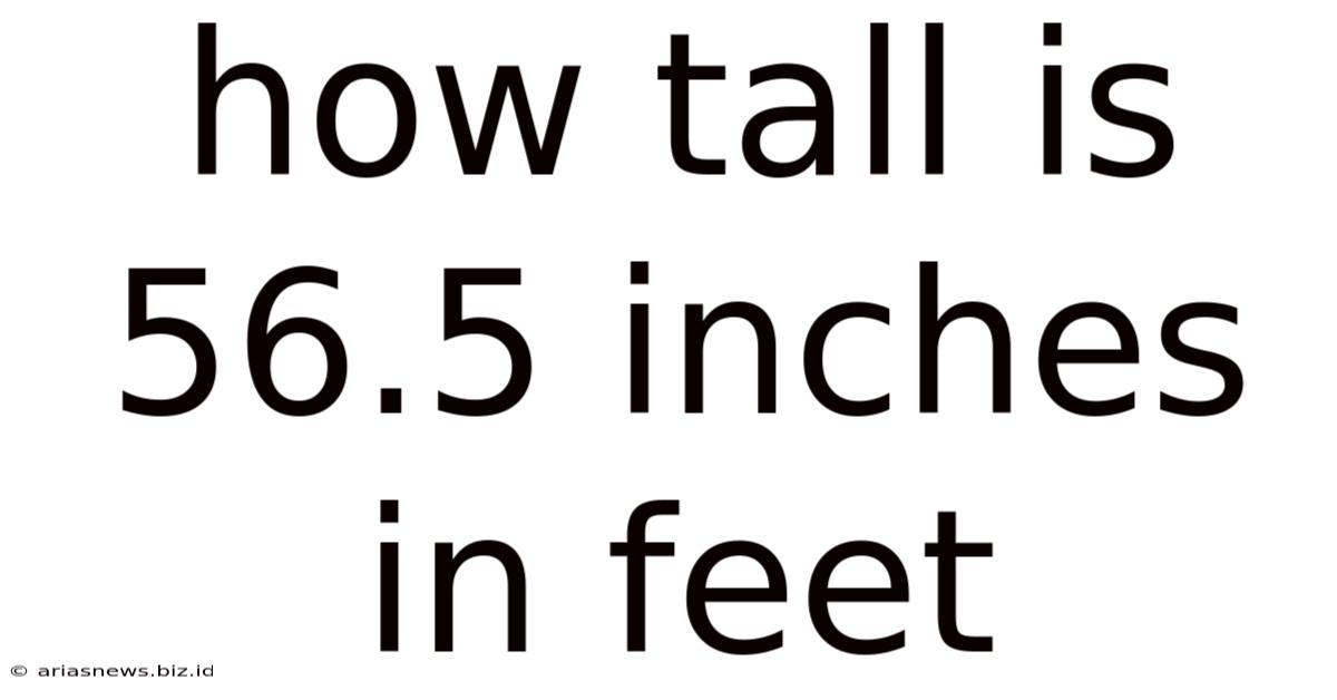 How Tall Is 56.5 Inches In Feet