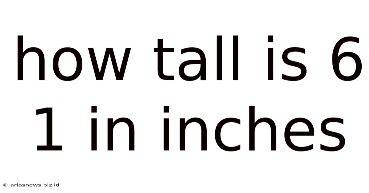 How Tall Is 6 1 In Inches